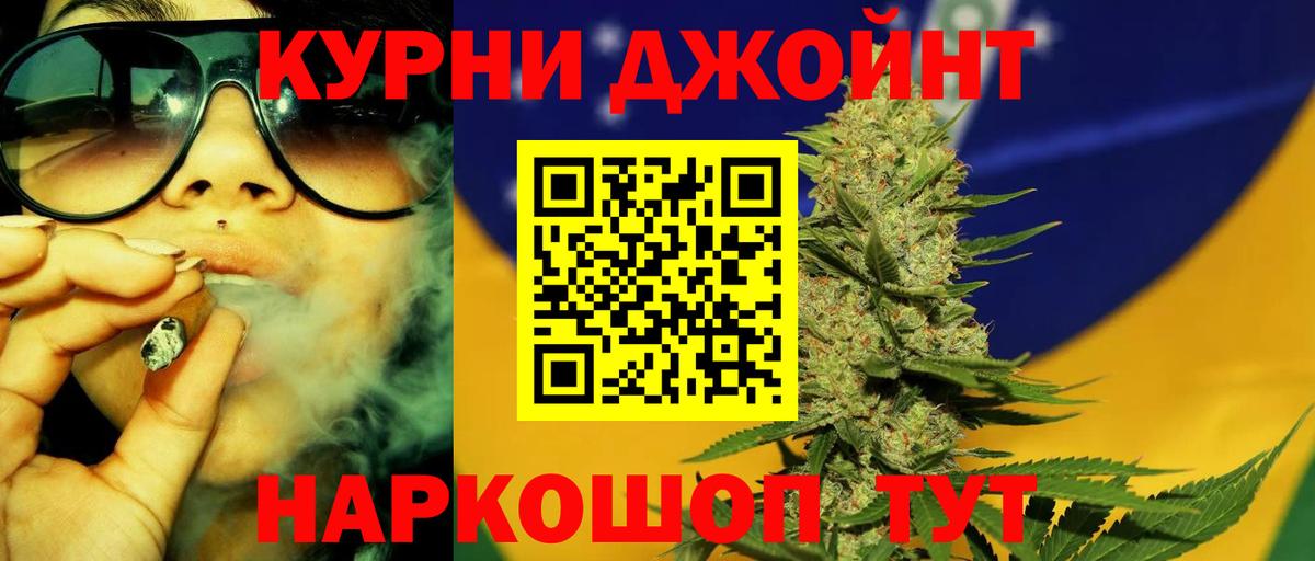 Каннабис OG Kush Приморско-Ахтарск